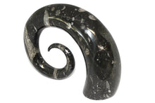 Load image into Gallery viewer, Ornamental Orthoceras Fossil Spiral Display Piece #2