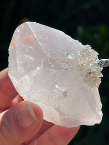 Large Premium Quality Crystal Gem Tree on Clear Quartz Crystal Base - Carnelian