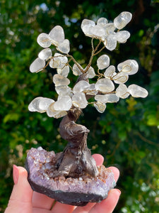 Clear Quartz Crystal Gem Tree on Amethyst Cluster Base