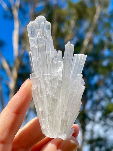 Indian Scolecite Crystal Spray Cluster Specimen