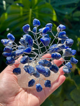 Load image into Gallery viewer, Large Premium Quality Crystal Gem Tree on Clear Quartz Crystal Base - Sodalite