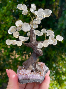 Clear Quartz Crystal Gem Tree on Amethyst Cluster Base