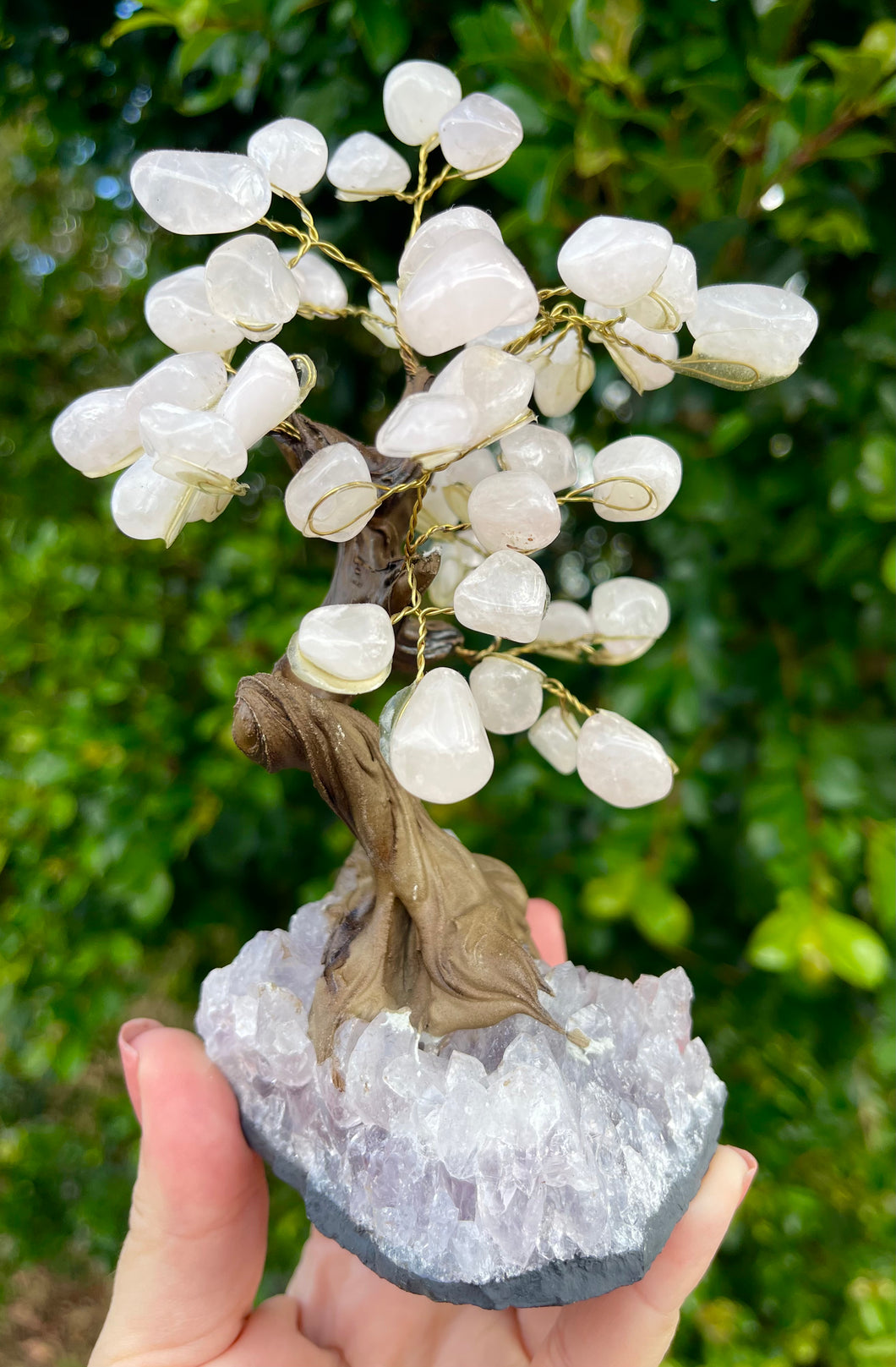 Rose Quartz Crystal Gem Tree on Amethyst Cluster Base