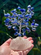 Load image into Gallery viewer, Large Premium Quality Crystal Gem Tree on Clear Quartz Crystal Base - Sodalite