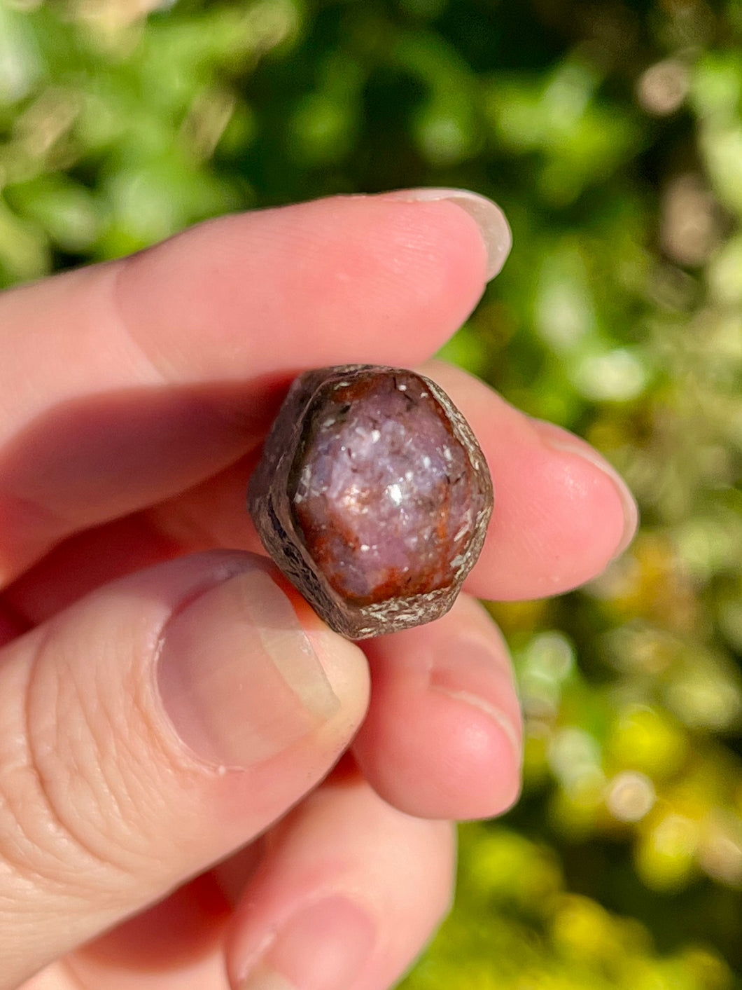 Semi Polished Natural Star Ruby Point #4