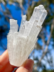 Indian Scolecite Crystal Spray Cluster Specimen