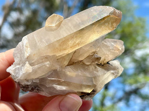 Natural Brazilian Citrine Crystal Cluster