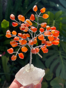 Large Premium Quality Crystal Gem Tree on Clear Quartz Crystal Base - Carnelian