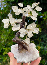Load image into Gallery viewer, Clear Quartz Crystal Gem Tree on Amethyst Cluster Base #2