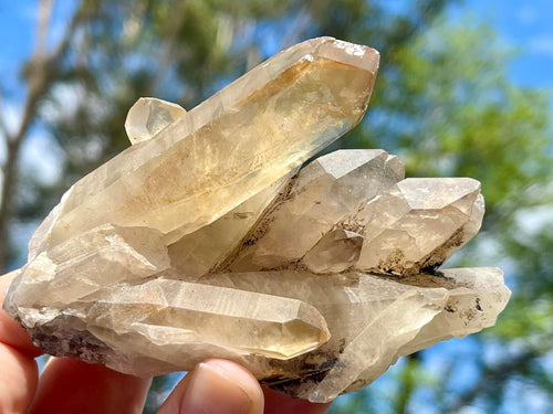 Natural Brazilian Citrine Crystal Cluster