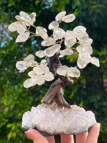 Clear Quartz Crystal Gem Tree on Amethyst Cluster Base #2
