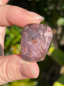 A Grade Natural Ruby Tumbled Stone #5
