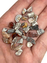 Load image into Gallery viewer, Tumbled Mexican Crazy Lace Agate Crystal Chips (100g)