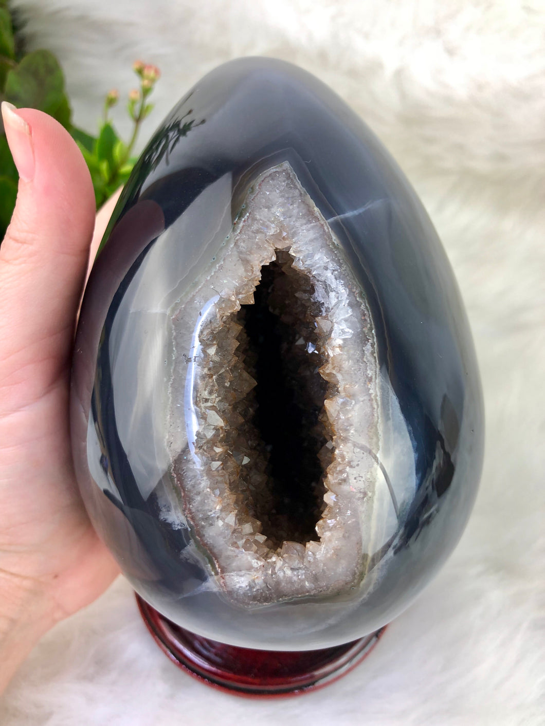 Extra Large A Grade Amethyst Cluster Geode Egg