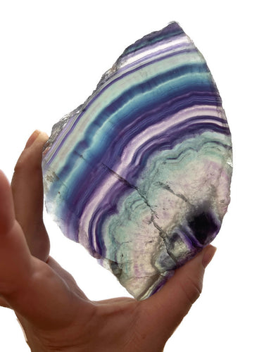Multicoloured Rainbow Fluorite Crystal Butterfly Fairy Wing Polished Slice