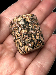 One (1) Extra Large Leopard Skin Jasper Tumbled Stone