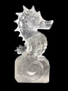 Large 6” High Quality Clear Quartz Crystal Seahorse Carving #2
