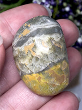 Load image into Gallery viewer, XL Indonesian Bumblebee Jasper Tumbled Stones