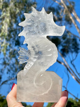 Load image into Gallery viewer, Large 6” High Quality Clear Quartz Crystal Seahorse Carving #2