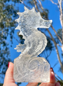 Large 6” High Quality Clear Quartz Crystal Seahorse Carving #1