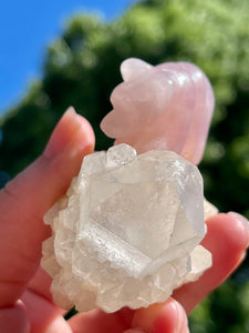 Brazilian Rose Quartz Crystal Bear Carving on Clear Quartz Crystal Pineapple Cluster