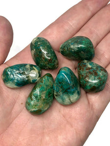 One (1) Medium Chrysocolla Tumbled Stone