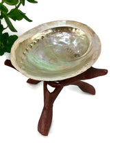 Load image into Gallery viewer, 8” Cobra Stand for Spheres or Abalone Shells