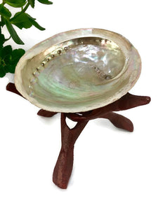 8” Cobra Stand for Spheres or Abalone Shells