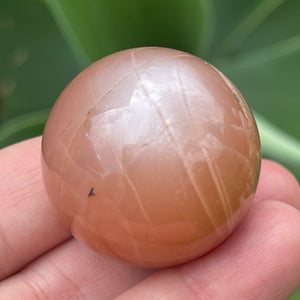 Premium Quality A Grade Peach Moonstone with Sunstone Sphere