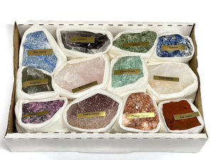 12 Piece Raw Crystal Specimen Box