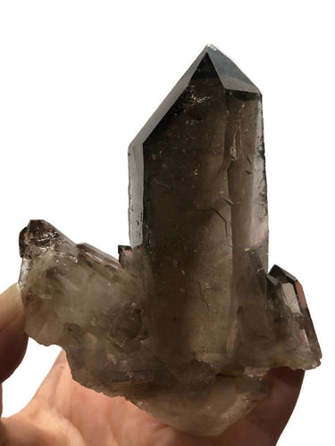 A Grade Brazilian Smokey Quartz Crystal Cluster