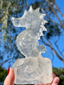 Large 6” High Quality Clear Quartz Crystal Seahorse Carving #1