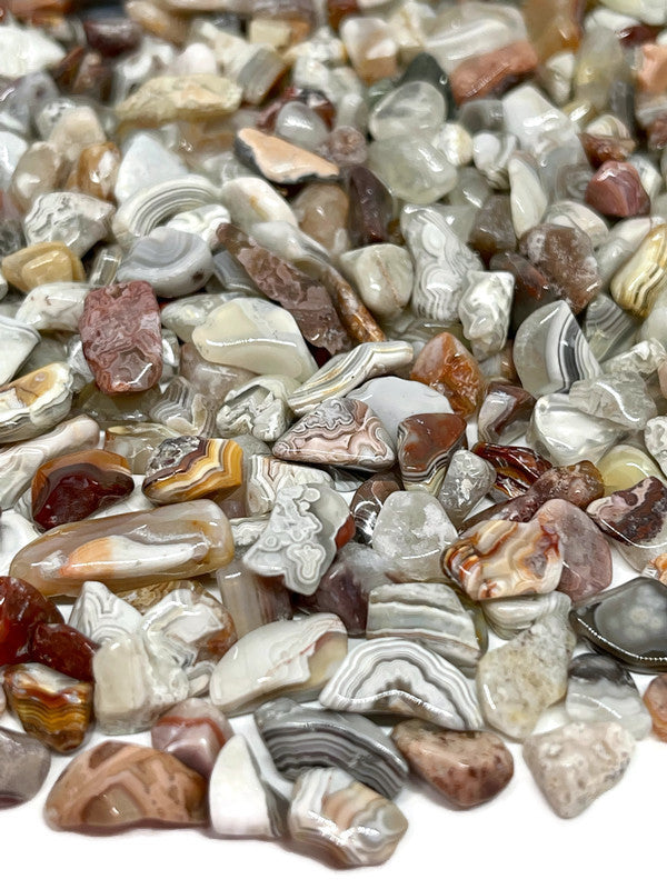 Tumbled Mexican Crazy Lace Agate Crystal Chips (100g)