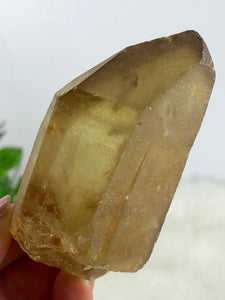Genuine South African Natural Citrine Point