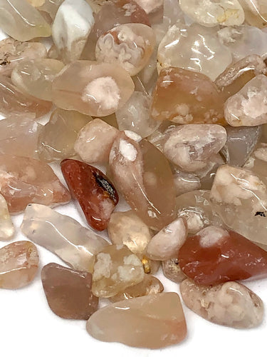 Tumbled Flower Agate Crystal Chips (100g)