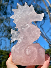 Load image into Gallery viewer, Large 6” High Quality Rose Quartz Seahorse Carving #1