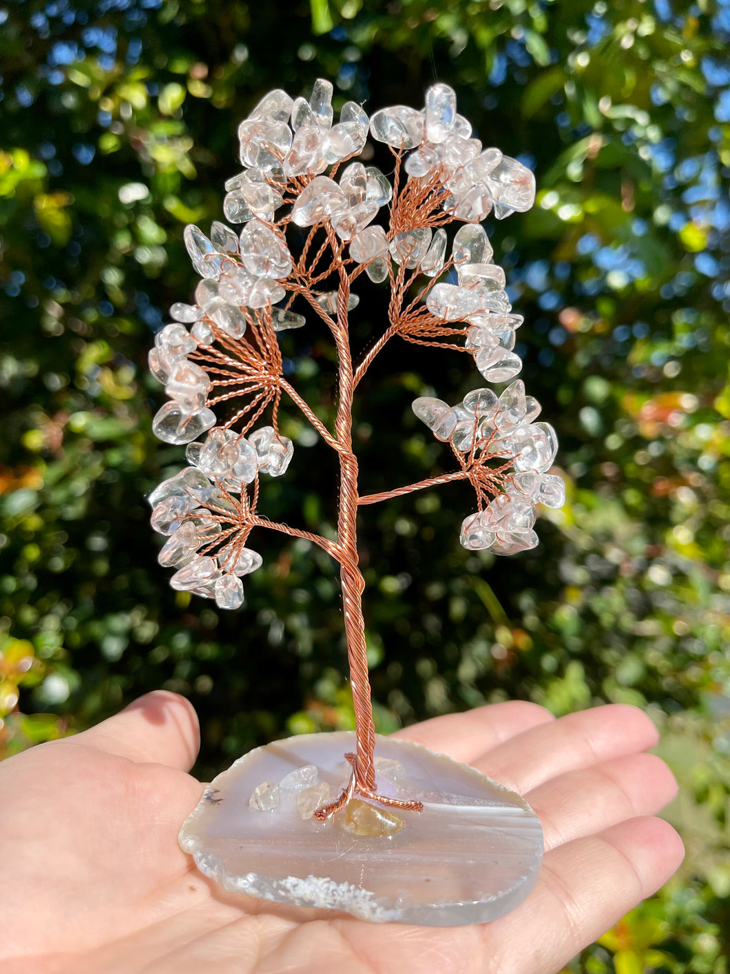 Clear Quartz Crystal Gem Tree on Agate Slice