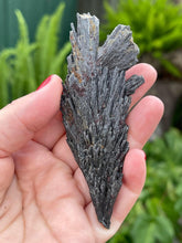 Load image into Gallery viewer, Large Black Kyanite Crystal “Witches Broom”