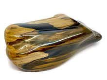 Load image into Gallery viewer, Australian Petrified Wood Polished Freeform