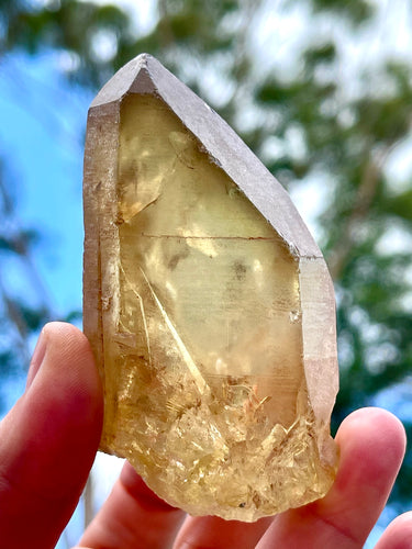 Genuine South African Natural Citrine Point