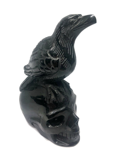 19 Cm Hand Carved Black Obsidian Crystal Raven Skull