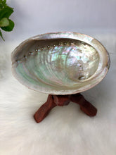 Load image into Gallery viewer, 6” Cobra Stand for Spheres or Abalone Shells