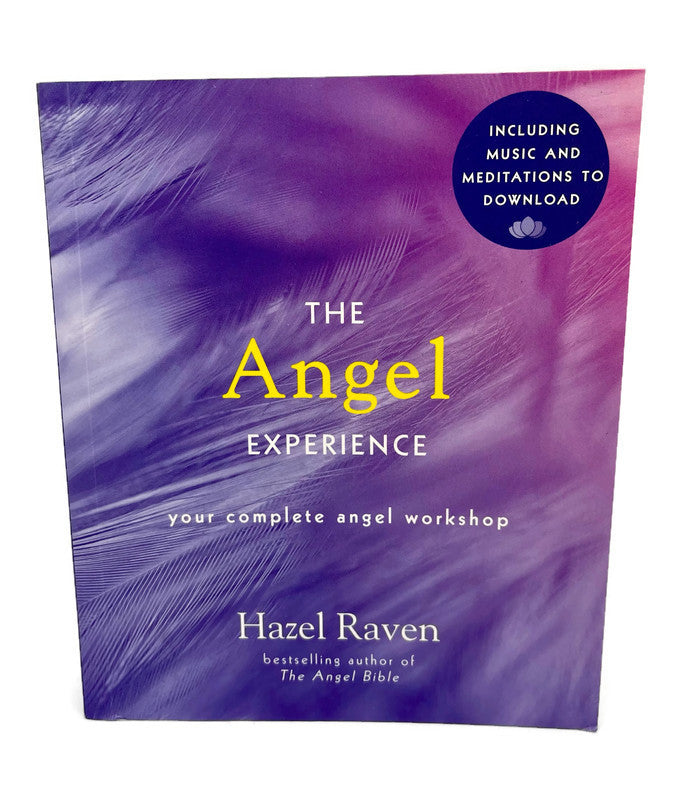 The Angel Experience - Hazel Raven