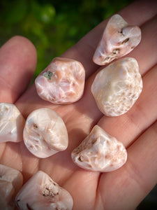 One (1) Rare Pink Natrolite 2-3 Cm Tumbled Stone