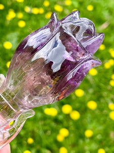 XL Hand Carved AAA Long Stemmed Amethyst Crystal Roses