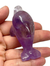 Load image into Gallery viewer, Beautiful Ametrine Crystal Carved Dolphin