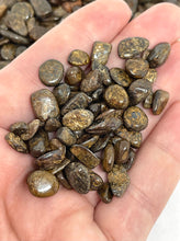 Load image into Gallery viewer, Tumbled Bronzite Chips (100g)