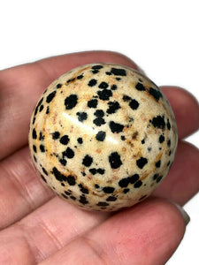 One (1) 25 to 30 mm Dalmatian Jasper Sphere